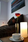 Coast bedside rose